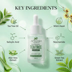 Aptura Cosmetics Tea Tree Serum with key ingredients displayed on a green background